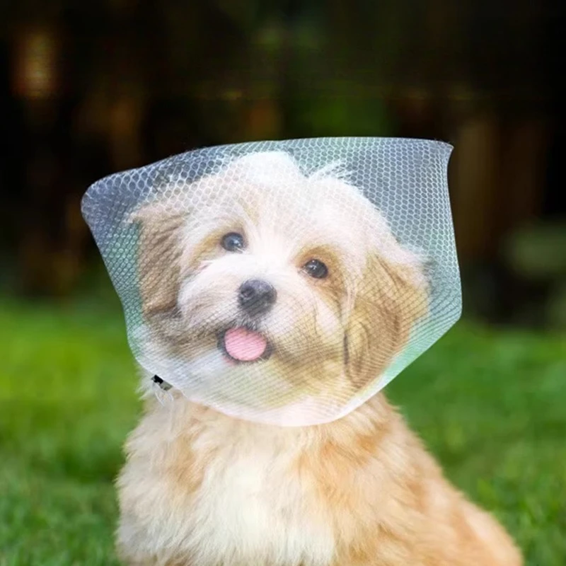 3pcs Dog Muzzle Net Prevents Accidental Ingestion Outdoor Muzzle Essential Accessory for Small Dogs