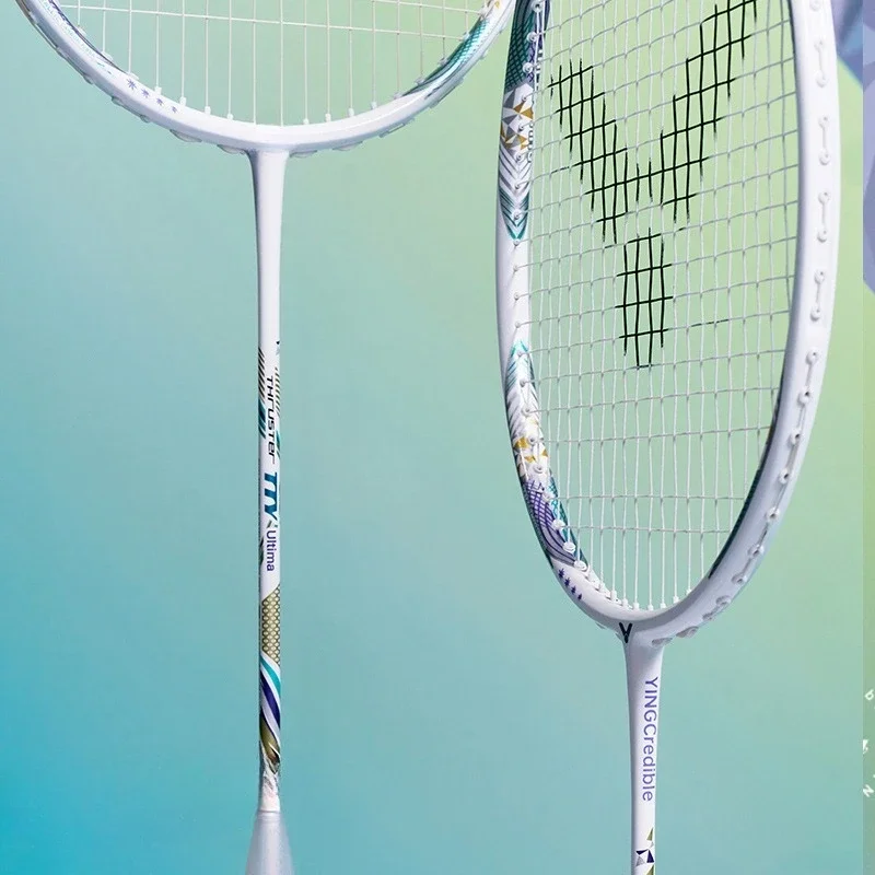 Badmintonschläger, Einzelschläger, Offensive, Professional Edition, Sport, langlebig, langlebig