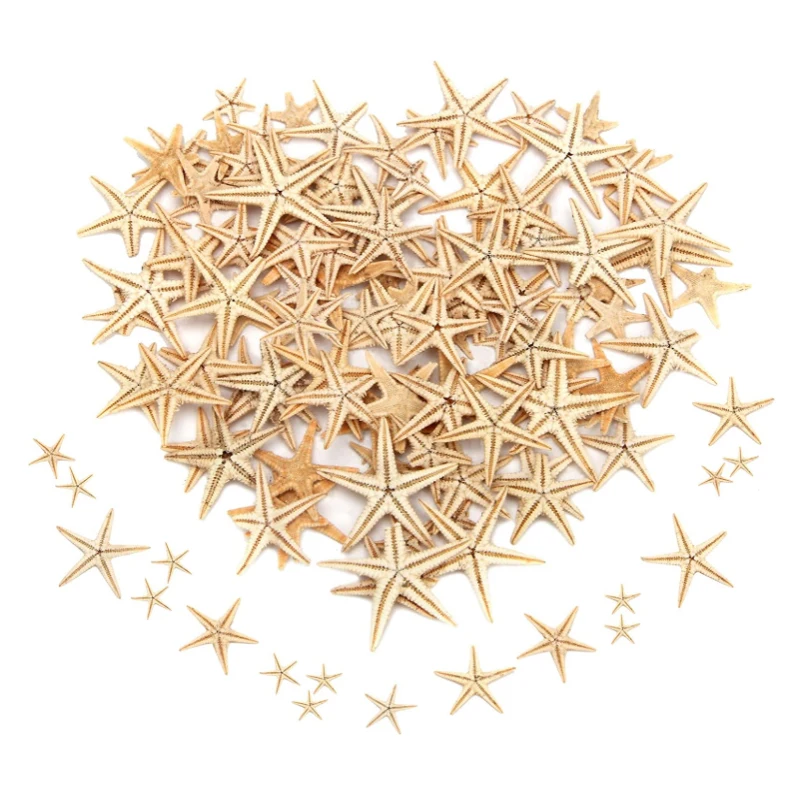 5/25/50/100 pcs Sea shells  Mini Starfish Craft Decoration Natural Sea Stars DIY Beach Cottage Wedding Decor crafts wedding