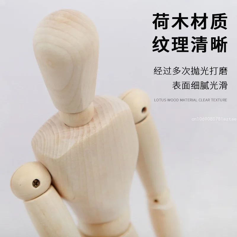 Wooden Manikin Flexible Body Joints Human Figure Wood Hand Model Ornament Stand for Home Office Desk Decoration Drawing Painting