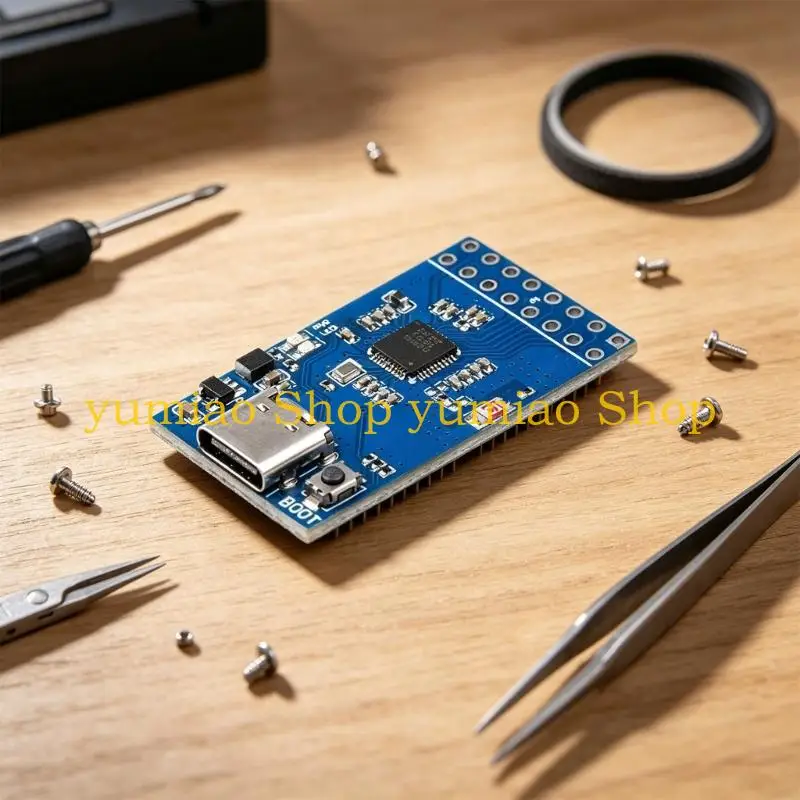 587B BL616 RISCV WIFI6 Development Board for Radio and Device Project Work
