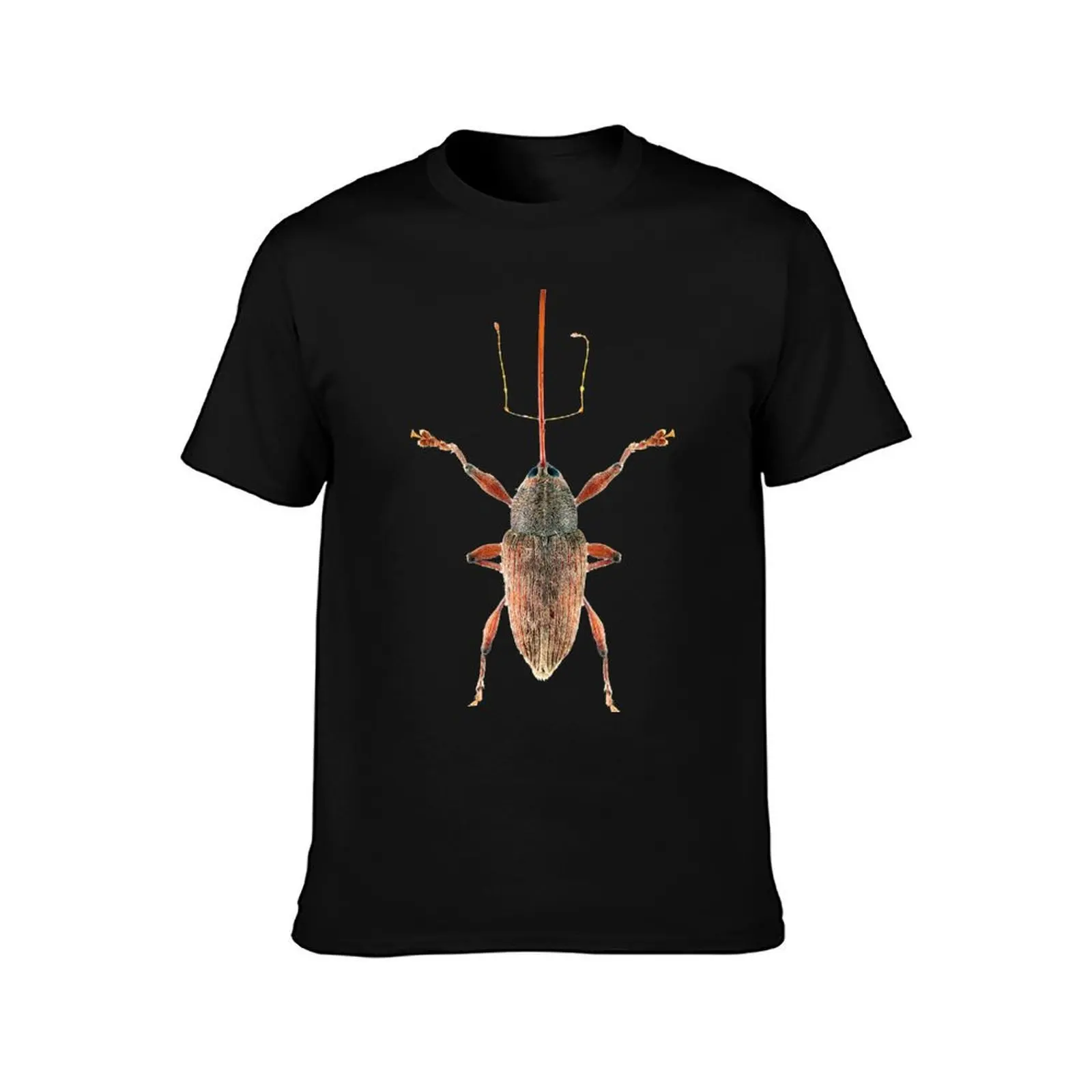 Acorn Weevil T-Shirt, Summer Casual Cotton Tee, Oversized Streetwear Tops, Vintage Graphic Print, Loose Fit Short Sleeve