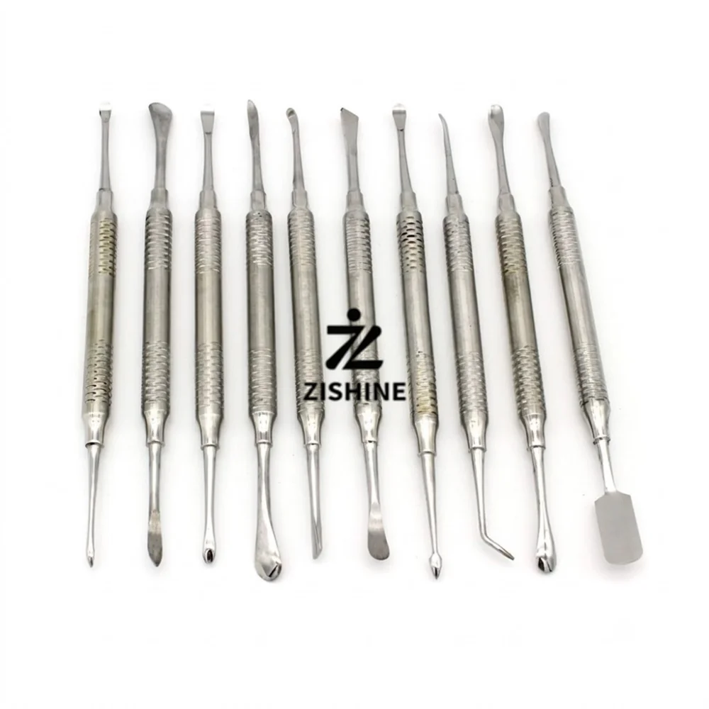 10Pcs/Set Dental Periosteal Elevators Stainless Steel Double Ended Flap Elevator Implant Oral Surgery Tools with Zipper Case