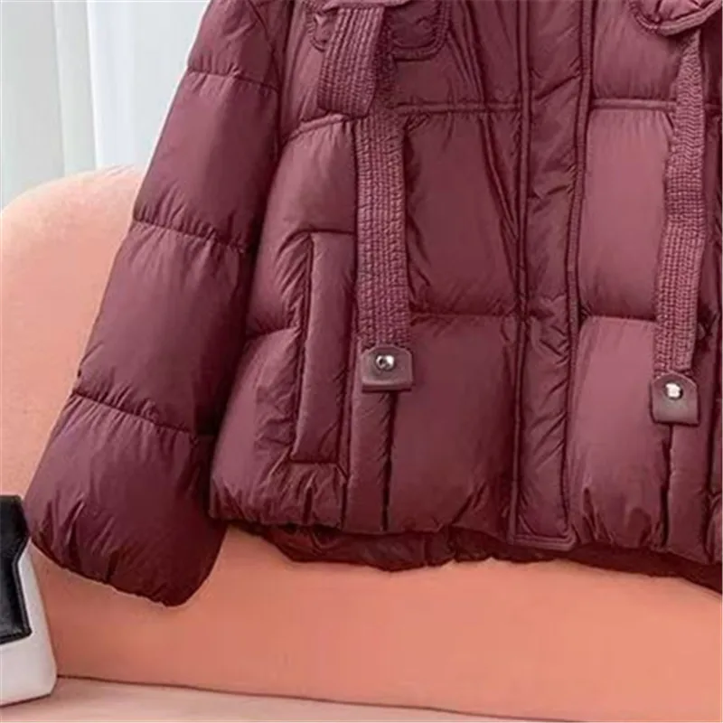 Autumn Winter Parkas Women short Warm Down Cotton Jacket 2026 New Hooded Long Sleeve Casual Loose Padded Short Coat Female T1657