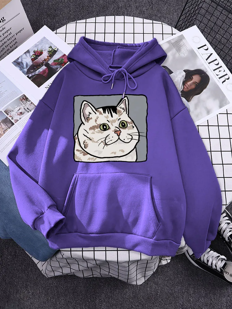 Cute Dazed Big Face Cat Women Hoody Outdoor Personality Sweatshirts Loose Comfortable streetwear   Oversize Simple Sportswears