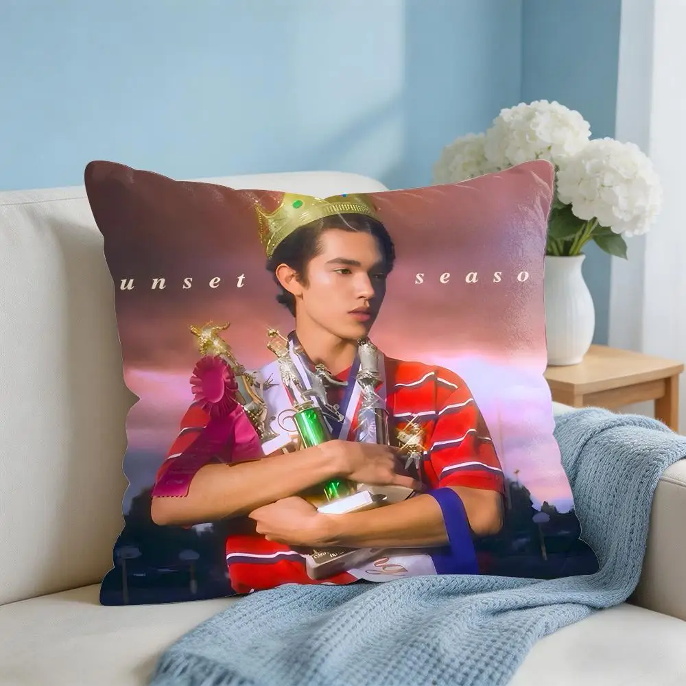 Singer C-Conan G-Gray Cushion Cover Square Pillow Bedroom Sofa Leisure Comfort Living Room Home Decoration 40X40