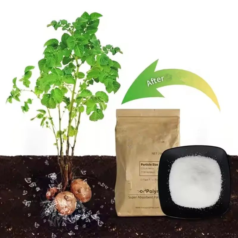 Agriculture Super Absorbent Polymer Improve Fertilizer Utilization Seed Polymer Coating Polyacrylate Potassium Sap For Potato