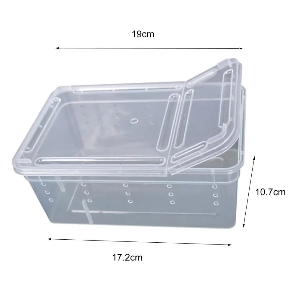 Small Pet Reptiles Living Box Reptile Terrarium Habitat Scorpion Spider Ants Lizard Breeding Case Hatching Container Rearing Box