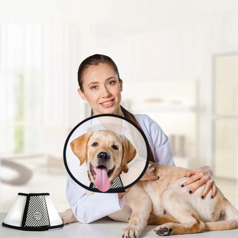 Pet Elizabeth Collar Puppy Anti Bite Grasping Collar for Small Sizes Dogs Recovery Cone Ring Cats Neck Wound Healing Accessories