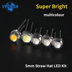 50/100pcs 5mm Straw Hat LED Diode Super Bright F5 Power Light Emitting Diodes Blue Green Red Yellow White for DIY Electronic