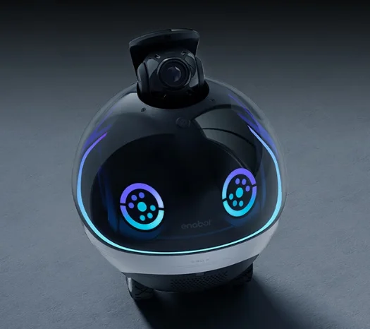 1080P bewaking op afstand Tweeweg audio Interactief huisdier spelen AI Home Robot EBO X Smart Companion Robot met HD