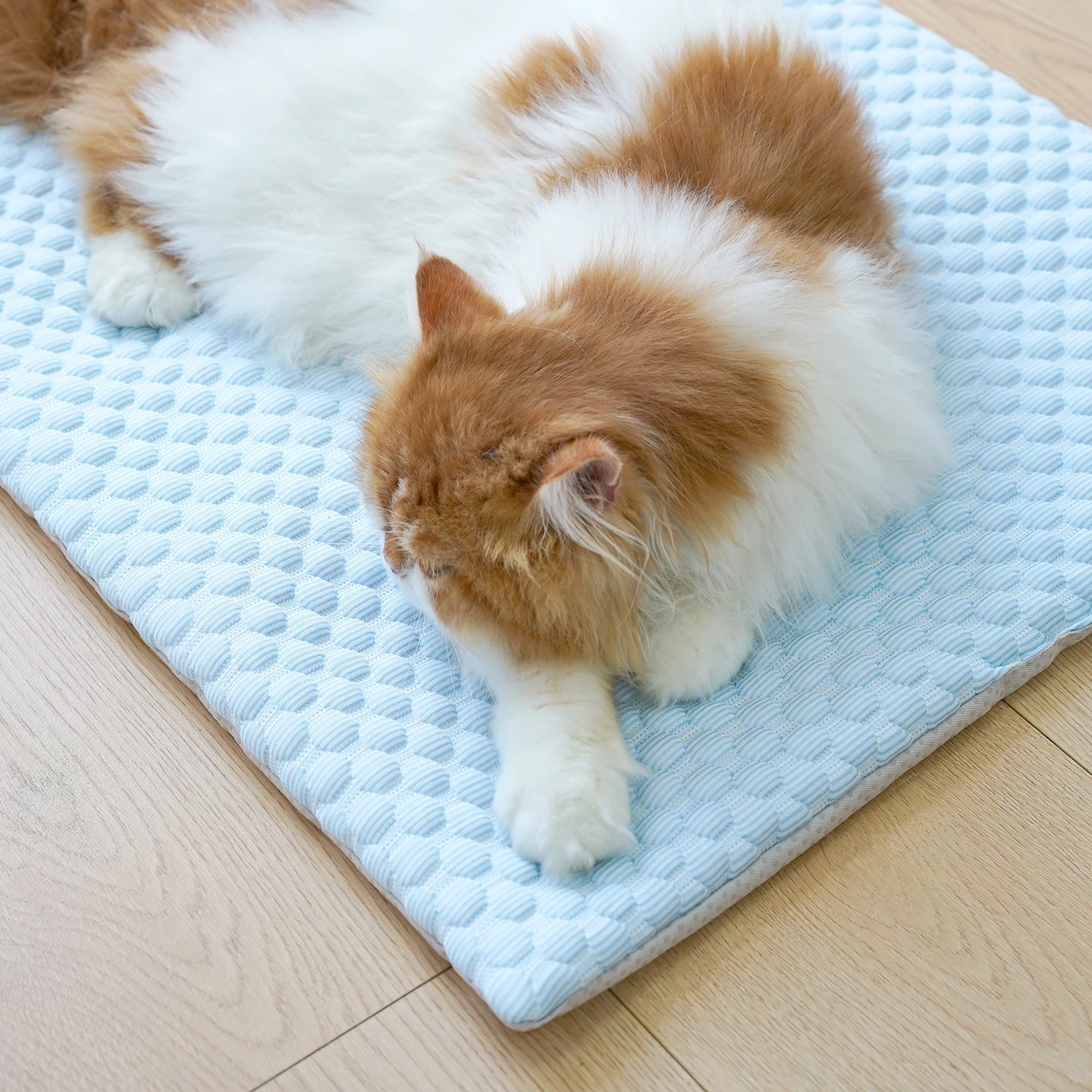 

Summer Cat Cooling Mat Lightweight Ice Beads Pad Non-Slip Washable Pet Bed Small Medium Dog Breathable Sleeping Mat