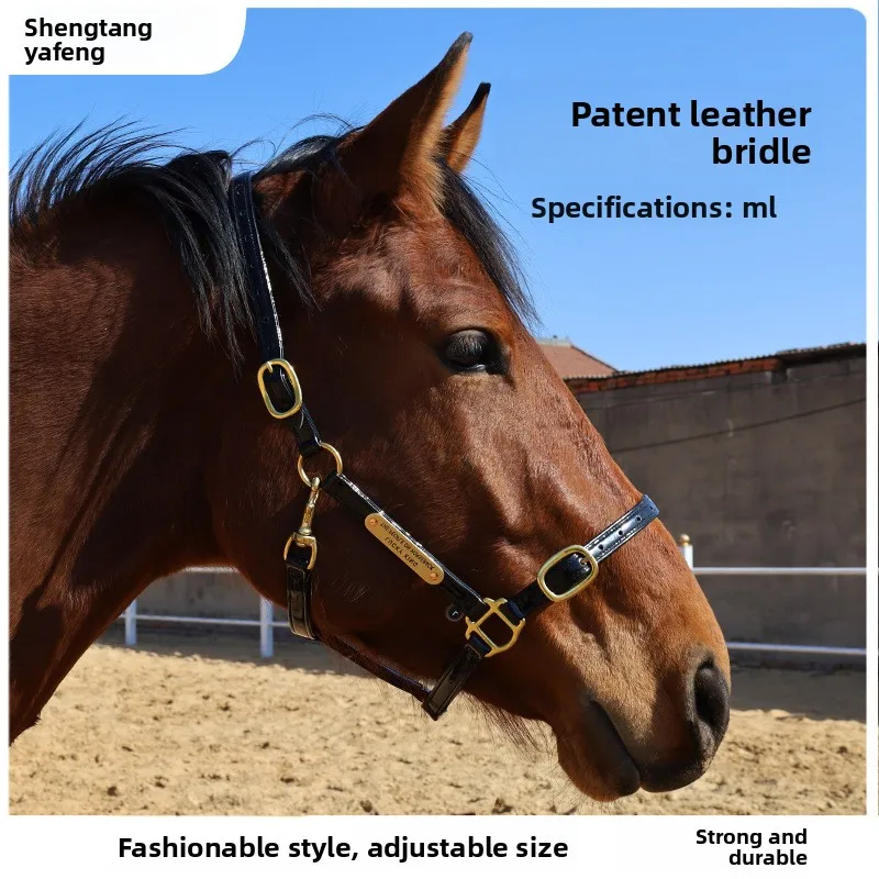 licou-pour-cheval-en-cuir-verni-–-plomb-pour-cheval-resistant-a-l'usure-et-reglable-fournitures-equestres-en-materiau-brillant-antiderapant-et-stable