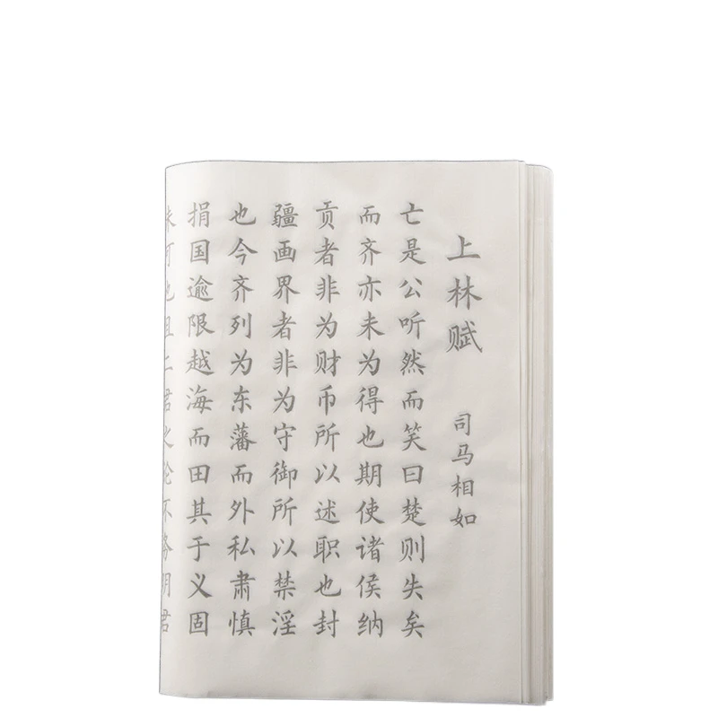 

Multiple Types Brush Small Regular Script Poems Copybook Chinese Classics Calligraphy Buddhist Scriptures Ling Fei Jing Copybook