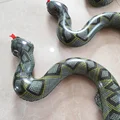 Giant Python