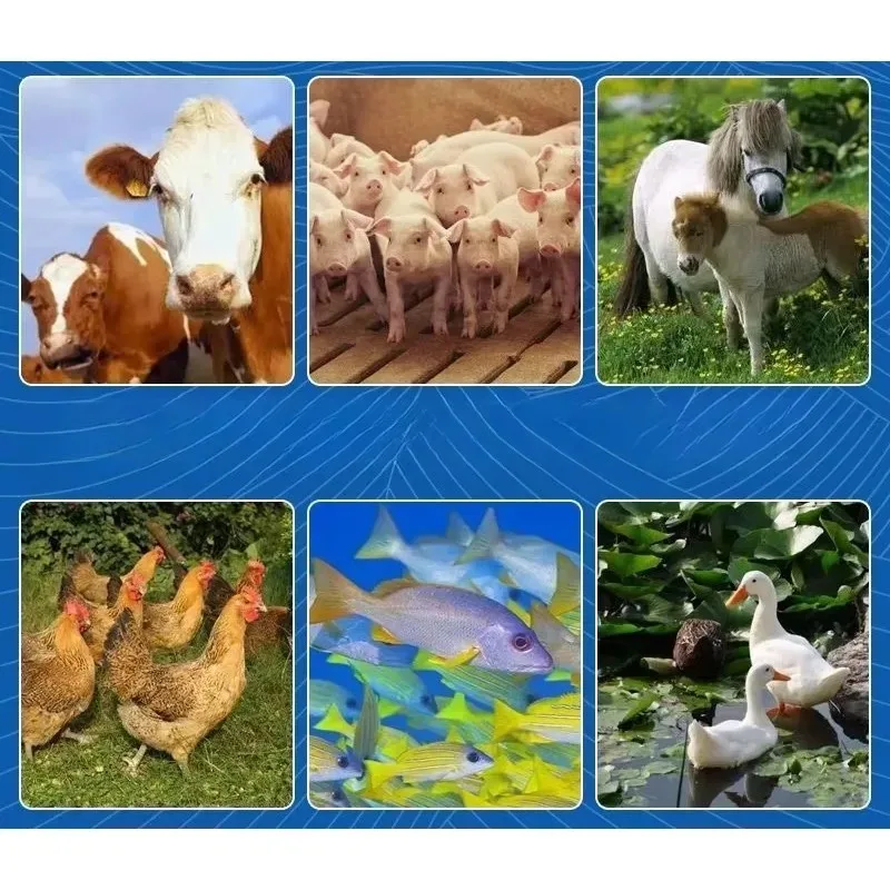 【Best-selling】Factory Direct Sale Wood Granulator Machine Biomass Waste Sawdust Pellet Mill Wood Pellet Machine Mill Line