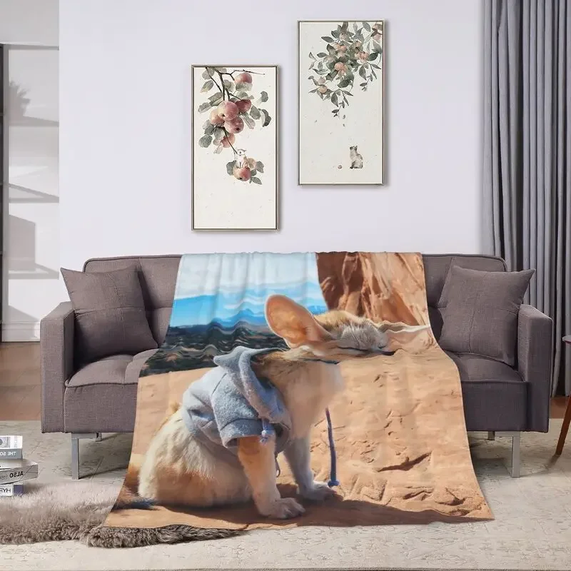 NEWKARLs Throw Blanket Fuzzy Warm Throws for Winter Bedding 3D Printing Soft Micro Fleece Blanket Throw Blanket Rugs