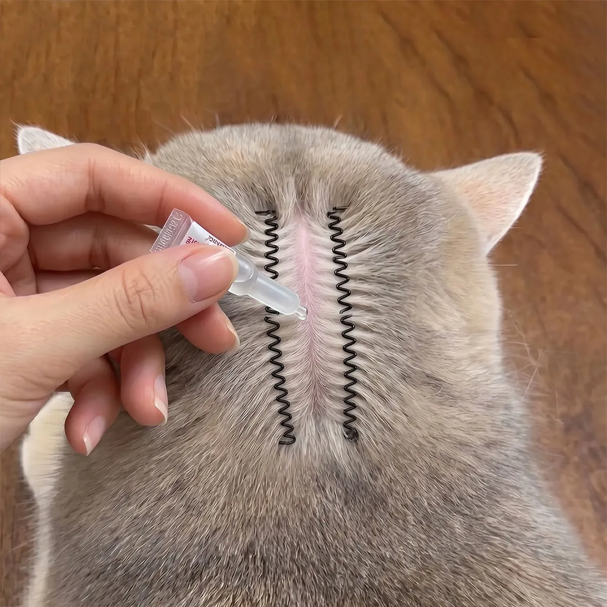 2-Pack Pet Hair Separation Clips, Suitable for Cats and Dogs, Flea Treatment Applicator Tool, Convenient Hair Separation Clip for Localized Medication Application, Pet Grooming Accessories