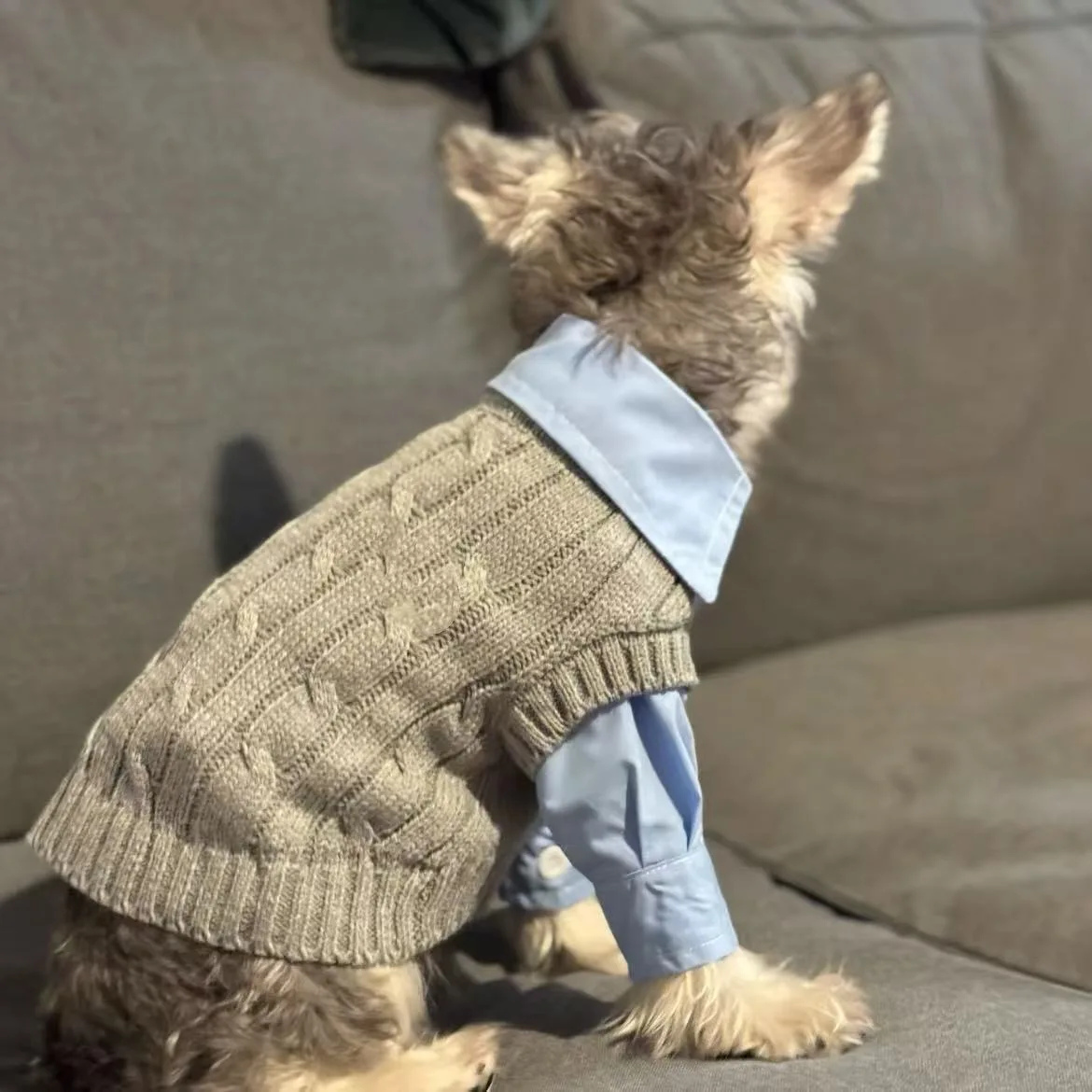 Dog Sweater Vest And Shirt For Small Medium Puppy Bichon Teddy Cats Pet Warm Clothes Spring Autumn Dog Clothes Two-piece Set