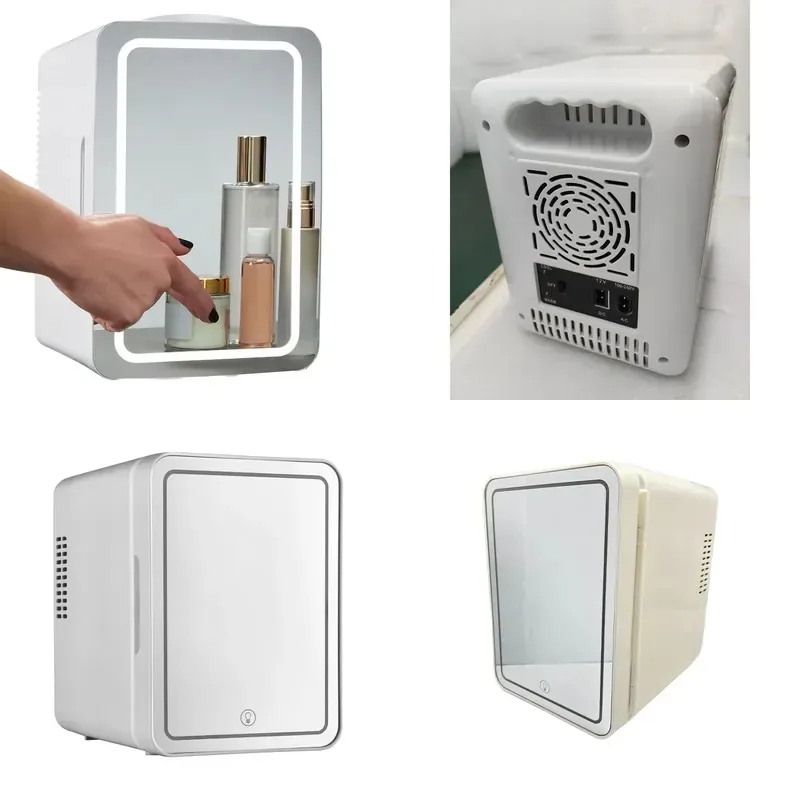 4L Portable Mini Fridge Thermoelectric Cooling Dual Use for Car Home Energy Saving Low Noise 12V 220V Plastic Compact