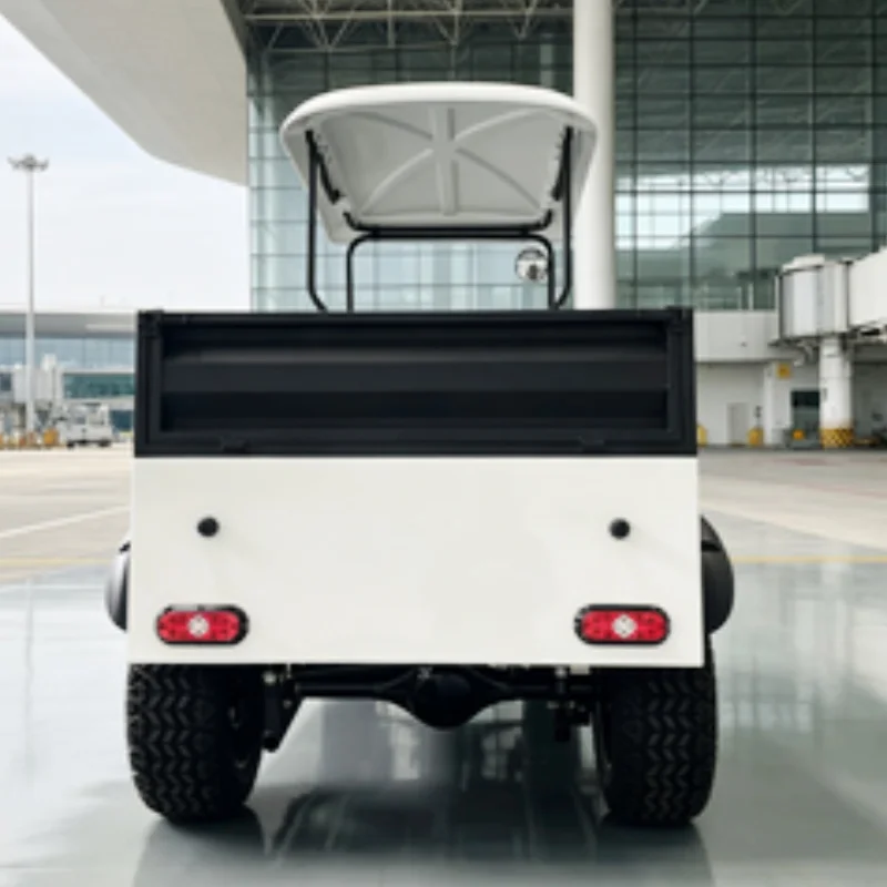 Sightseeing Electric Golf Course Club Cart 2 Seater Electric Golf Cart 2 Seater Cargo Cart Rear Cargo Box Bumper Off Road Tire