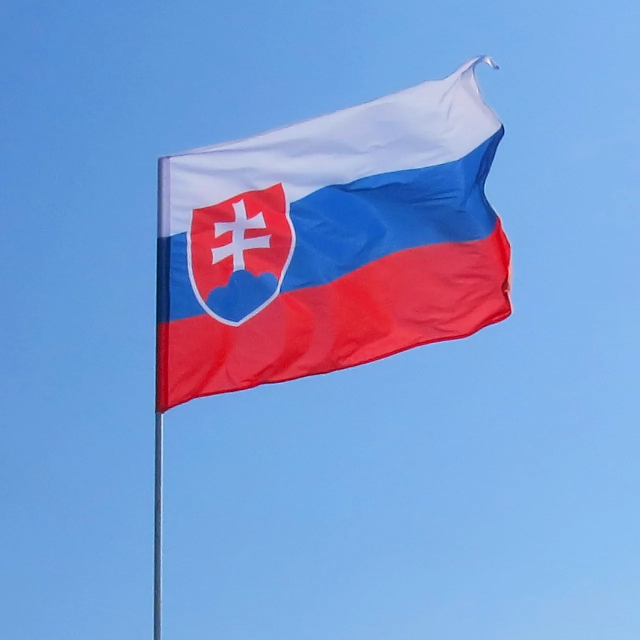 90*150cm Slovakia Flag Svk Sk Slovenska Slovakia Slovak Flag Banner Polyester Hanging Flag