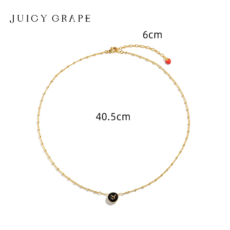 JUICY GRAPE 12 Zodiac Signs Necklace Capricorn Aquarius Pisces Aries Taures Gemini Cancer Leo Virgo Libra Scorpio Sagittarius