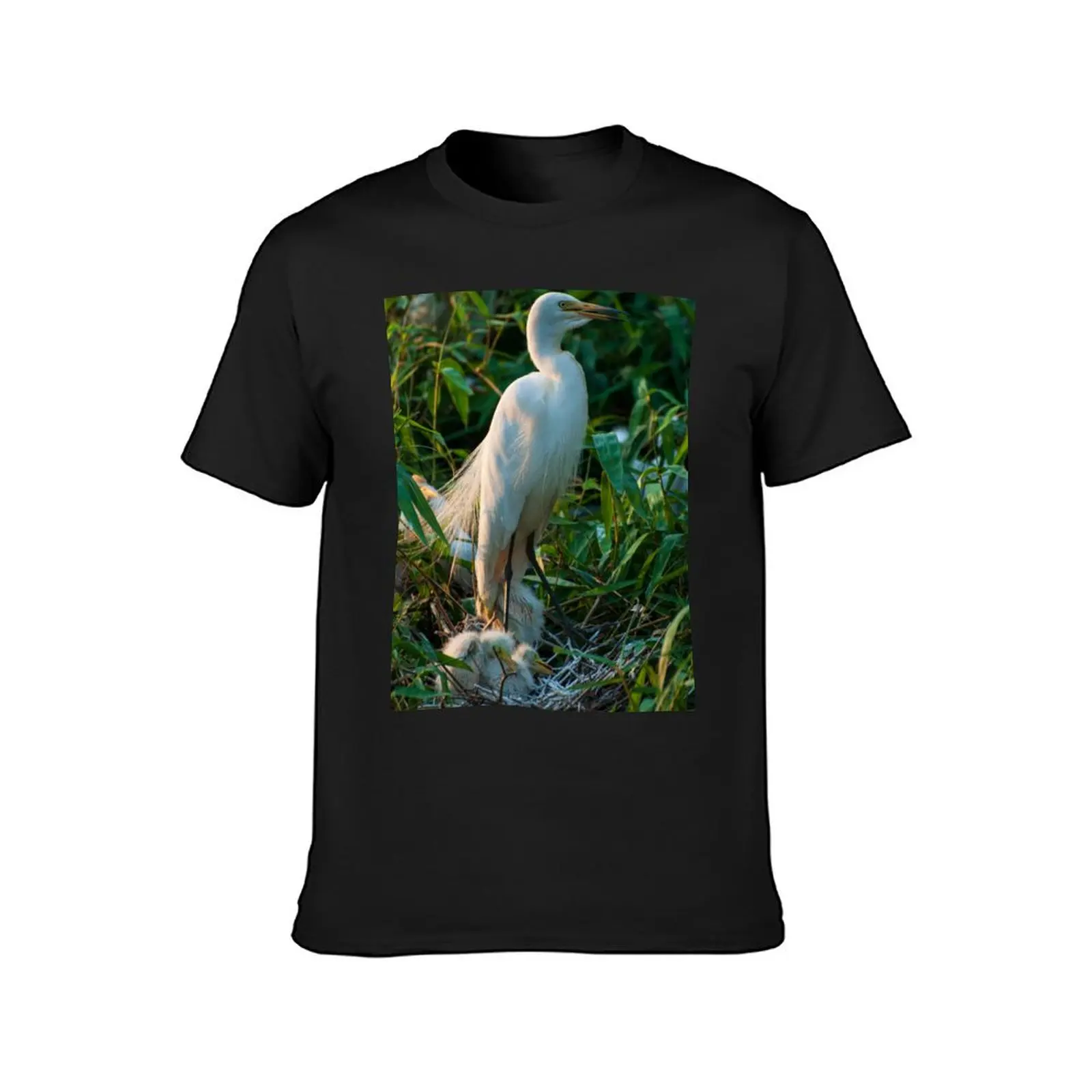 White egret bird with chicks at nest. T-Shirt heavyweights new edition mens graphic t-shirts