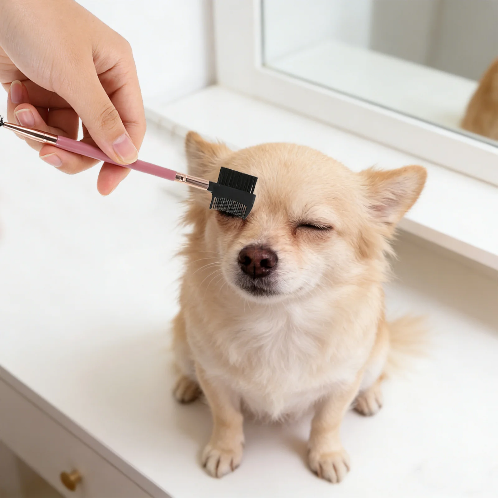 

10Pcs Pet Grooming Comb Set Small Dog Face Detangling Brush for Tear Stain Removal Dual Ended Eye Cleaning Tool Portable Cat