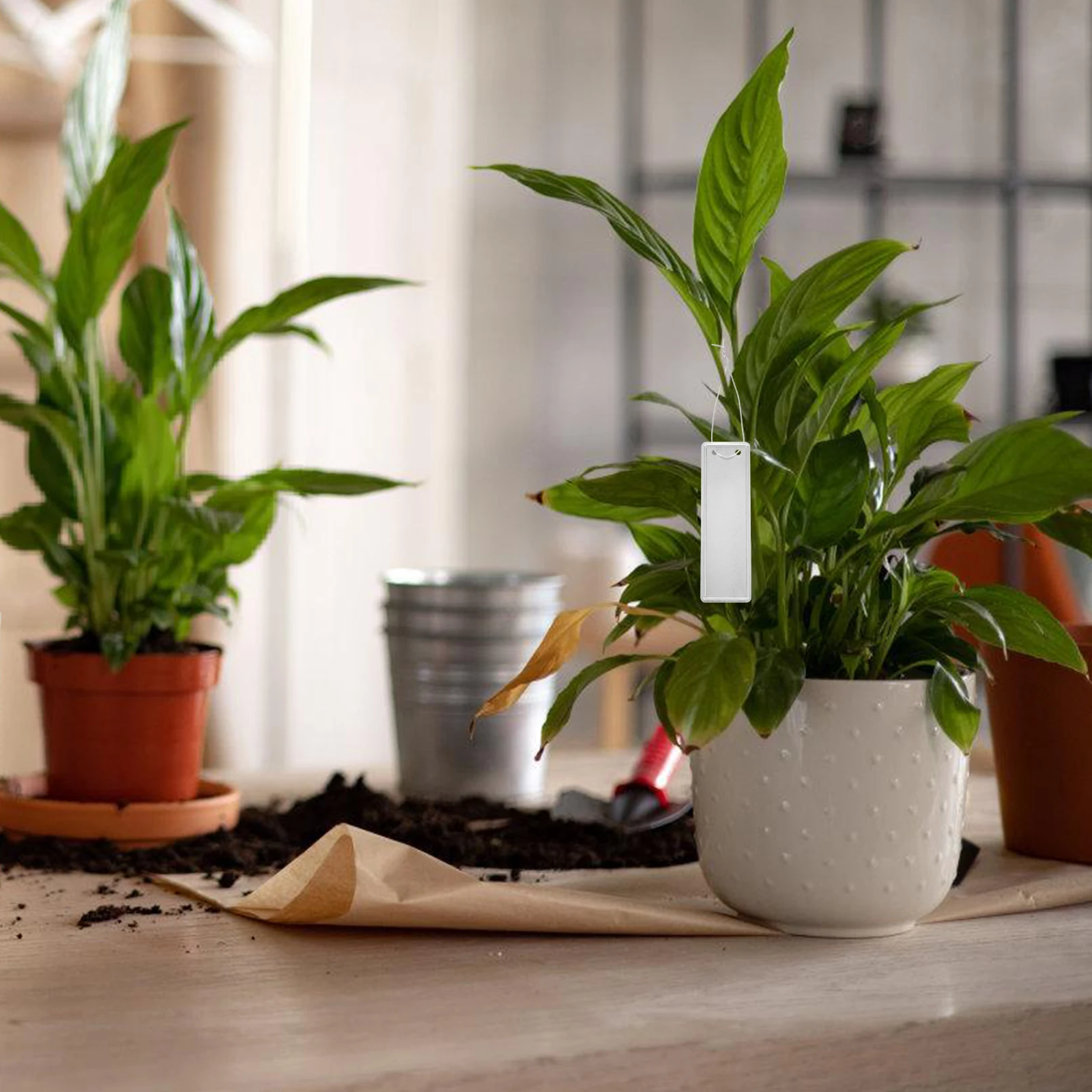 

50 Pcs Plant Labels Aluminum Lightweight Garden Markers Silver Greenhouse Tags Vegetable Nursery Tree Landscaping