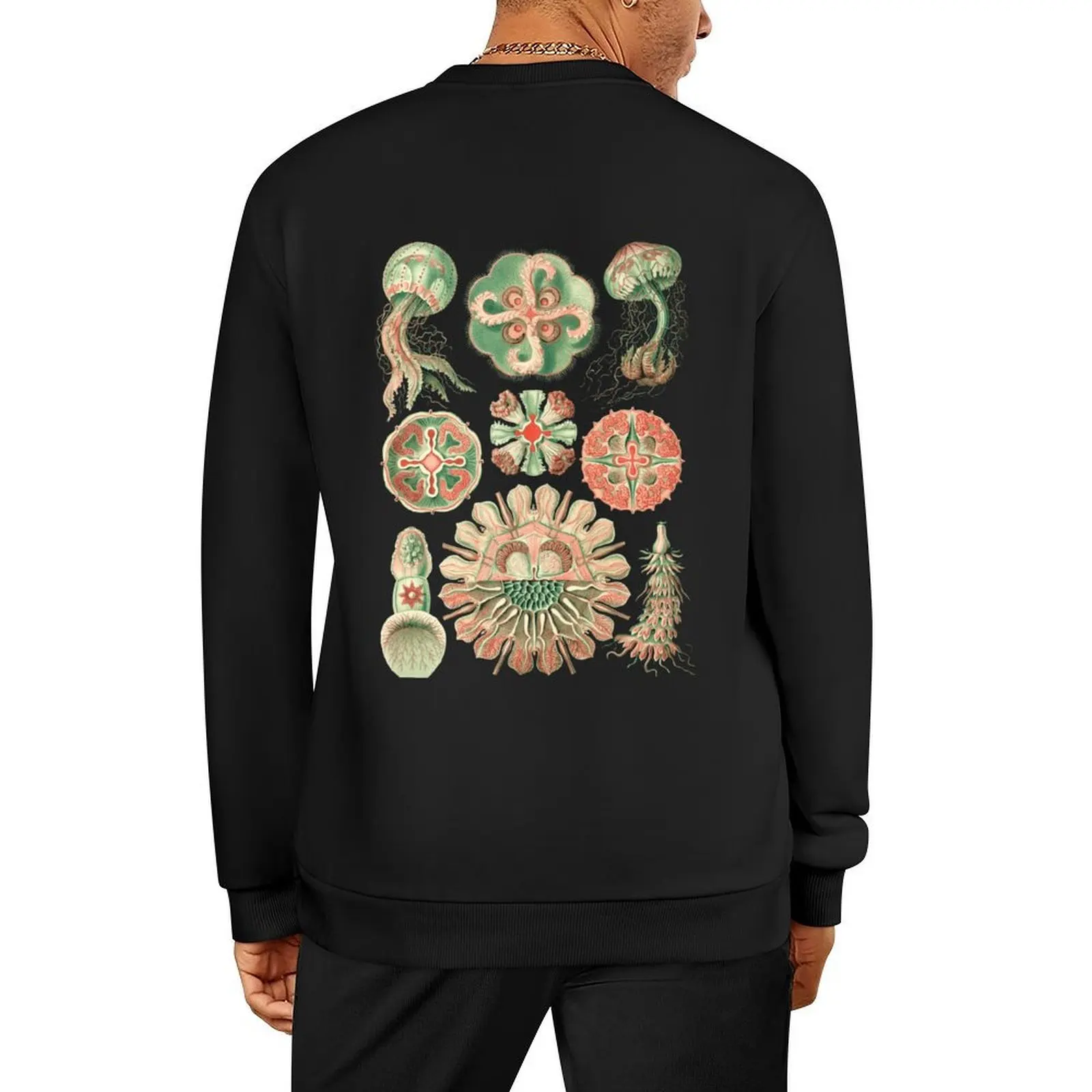 

Ernst Haeckel Discomedusae Jellyfish Pullover autumn jacket men men's sweat-shirt aesthetic sweatshirts