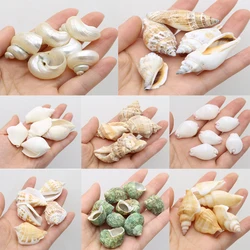 yachu Natural Shell Irregular Silver Conch Bead Pendant Craft DIY Jewelry Making Necklace Earring Accessories Gift 20x25-25x30mm