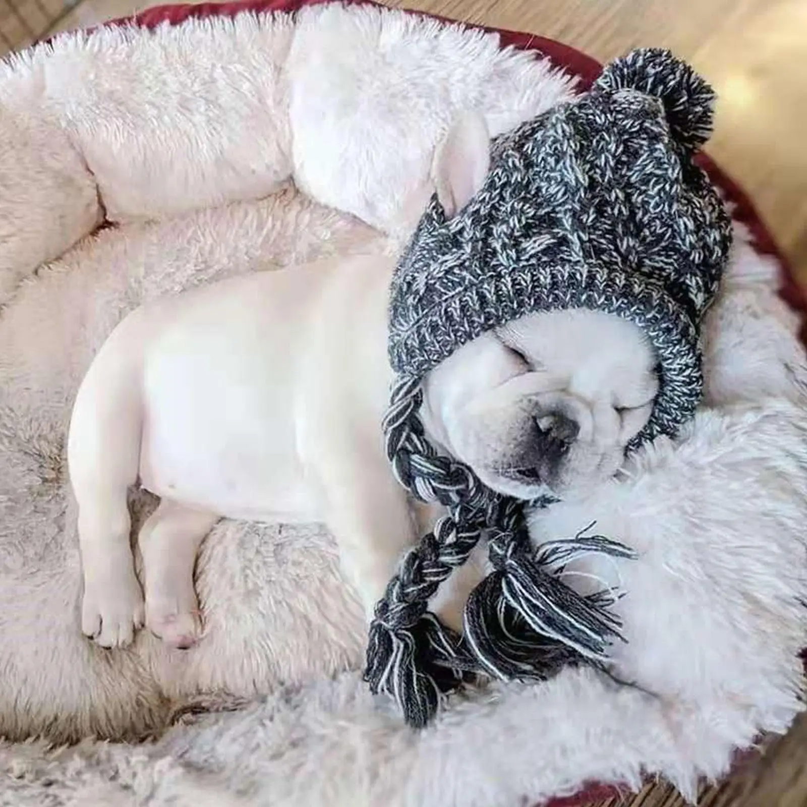 Winter Warm Dog Hats Windproof Woolen Knitting French Bulldog Hat Woven Hat For Bago Plush Ball Puppy Accessories Pet Hat 
