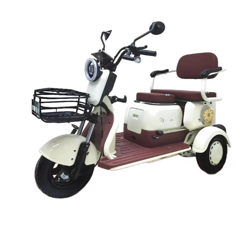 Electric tricycle women's household small pick-up and drop-off children three-wheeled battery car elderly scooter with shed