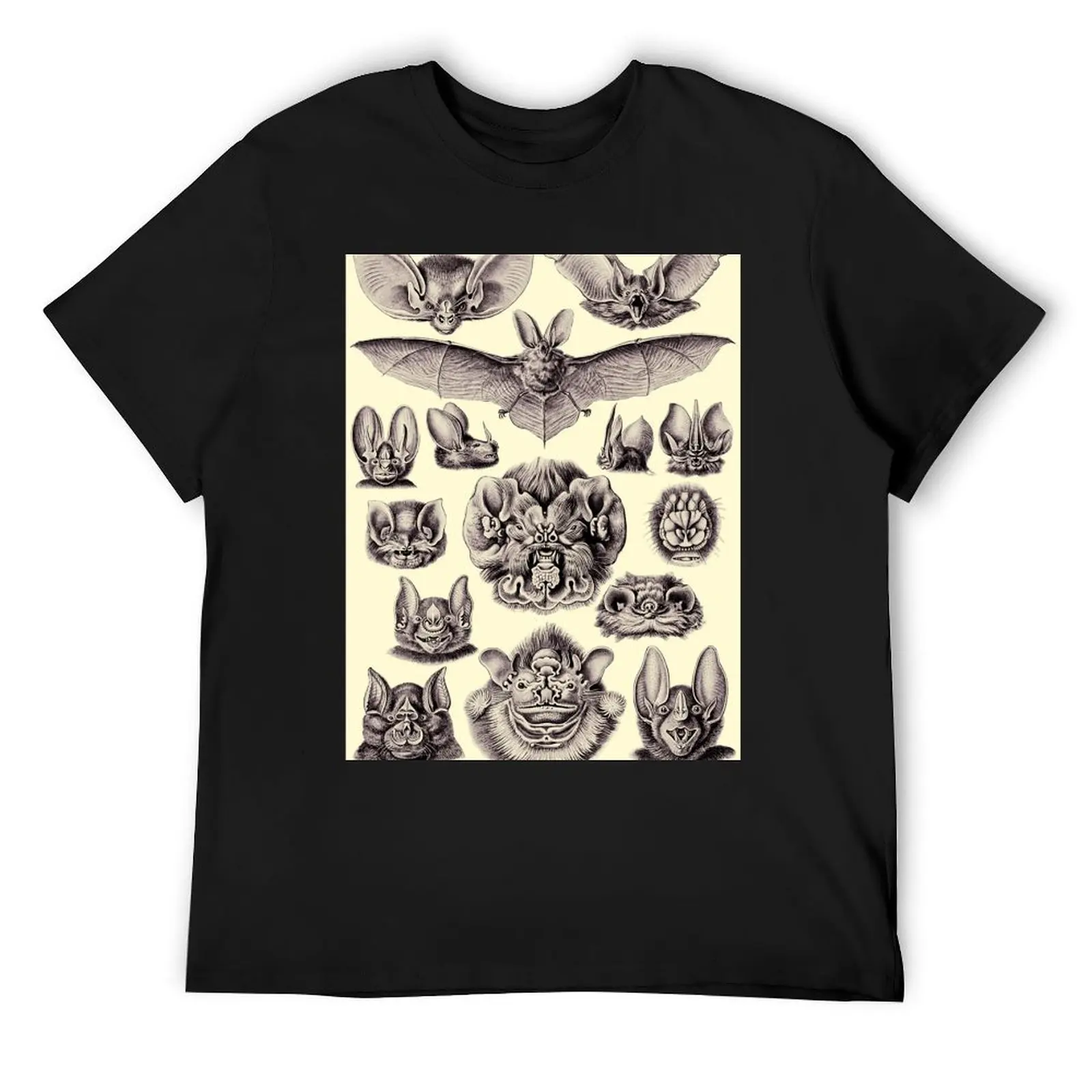 

Ernst Haeckel Bats T-Shirt valentines clothes anime shirt basketball graphic tees cotton t shirt men