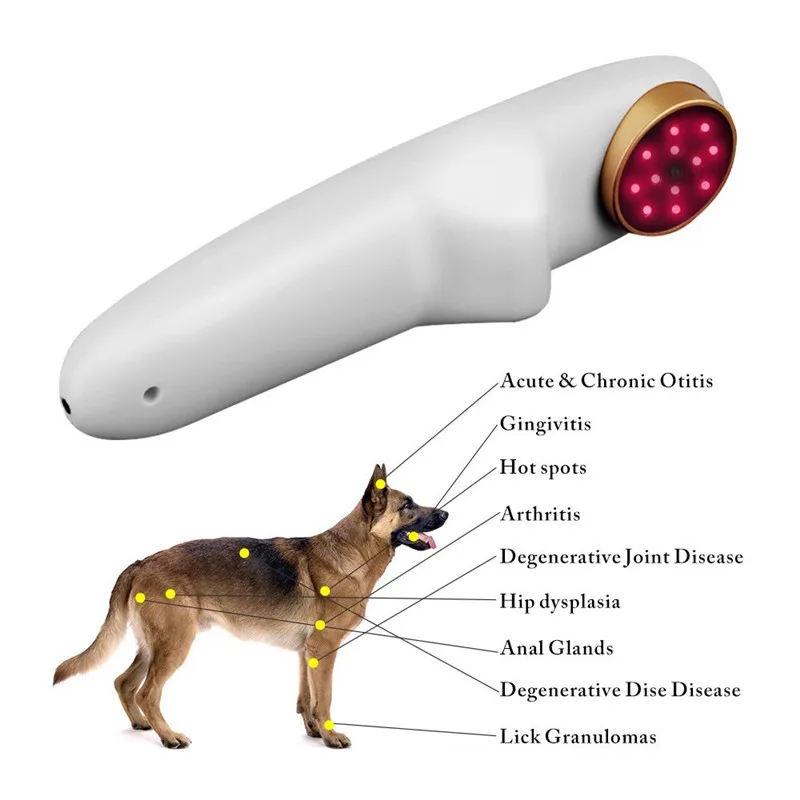 Effective Veterinary Laser Therapy Vet Acupuncture Pet Wound Healing 808nm Animal Arthritis Medical Devices