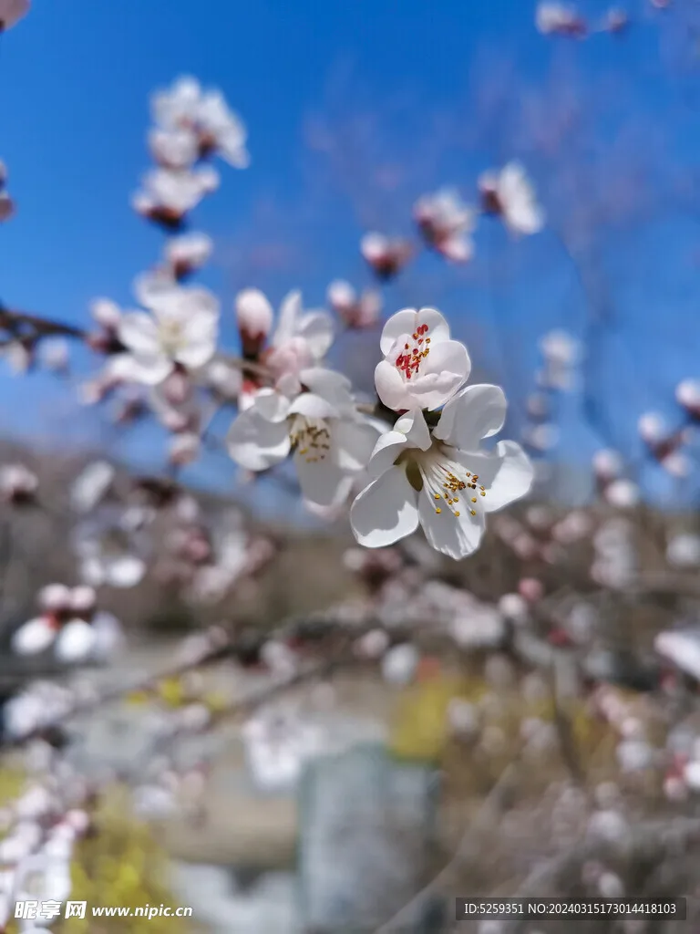 

Комплект из 4 металлических колес с бедлок-дисковыми креплениями и шинами 40 мм (0,7 дюйма) для радиоуправляемых краулеров 1/30 SCX30 Ascent-32, запчасти и аксессуары для тюнинга