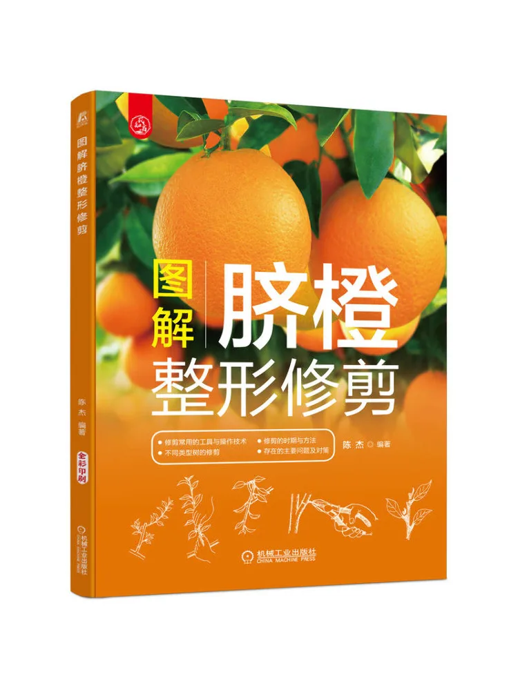 

Book-Winshare Illustrated Navel Orange Plastic Trimming