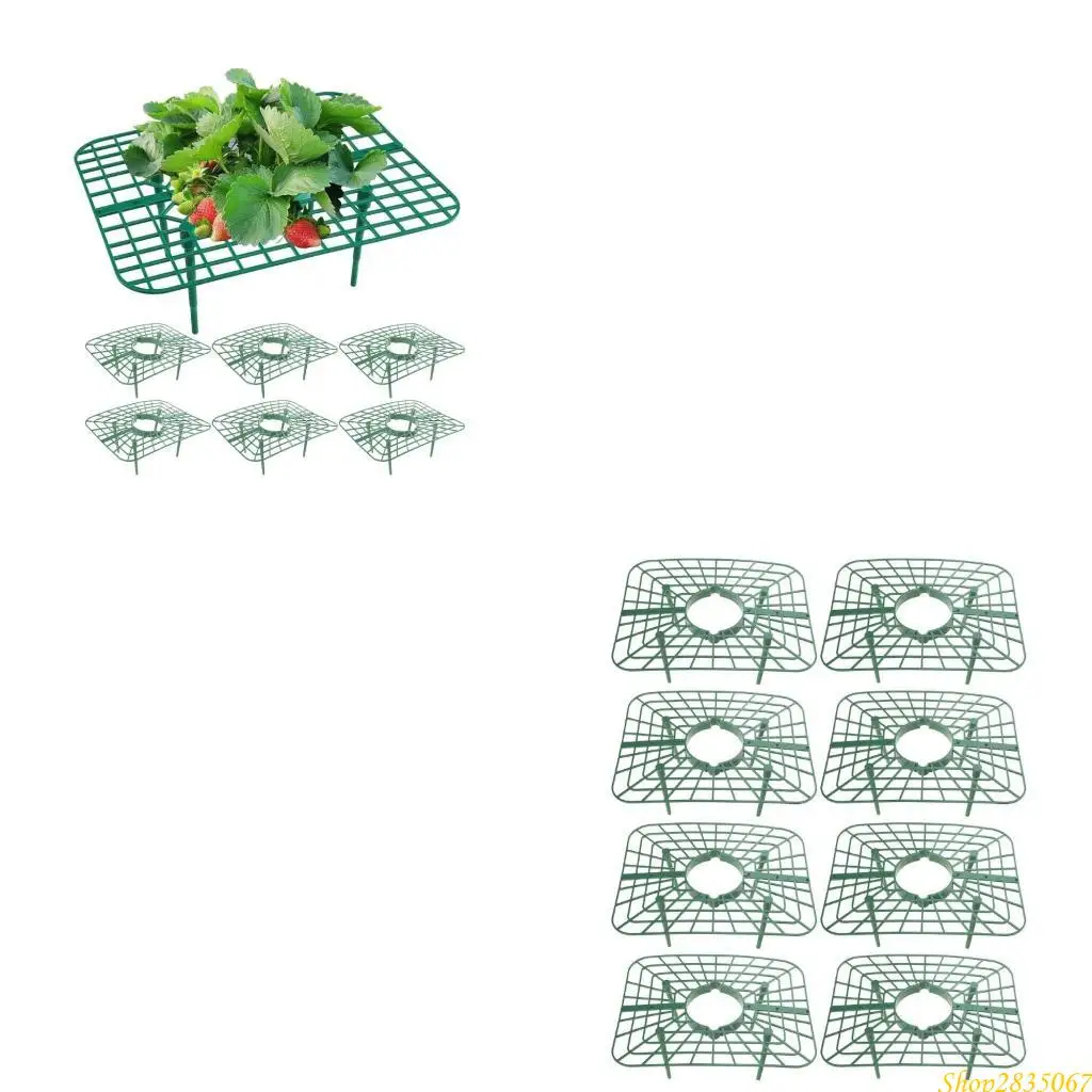 

1/6/8Pcs Strawberry Plant Support Strawberry Growing Racks Protectors Frame 831F