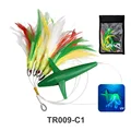 TR009-C1