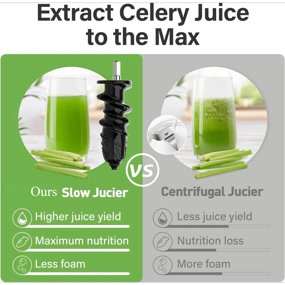 Slow Juicer, Touchscreen Cold Press Juicer with 2 Speed Modes, Professional Stainless Juicer Machines for Vegetable and Fruit