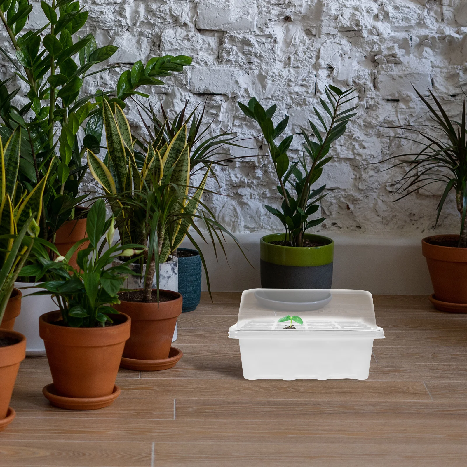 실내 정원 식물 발아용 재사용 가능한 씨앗 재배 트레이 세트 (투명 뚜껑 포함) 야채 재배 키트