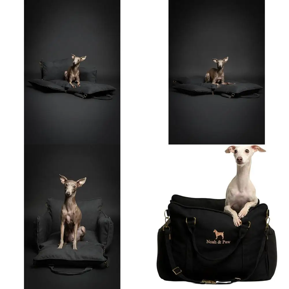 

Portable Pet Car Seat with Safety Harness, Waterproof & Washable, Orthopedic Foam for Small to Medium Dogs