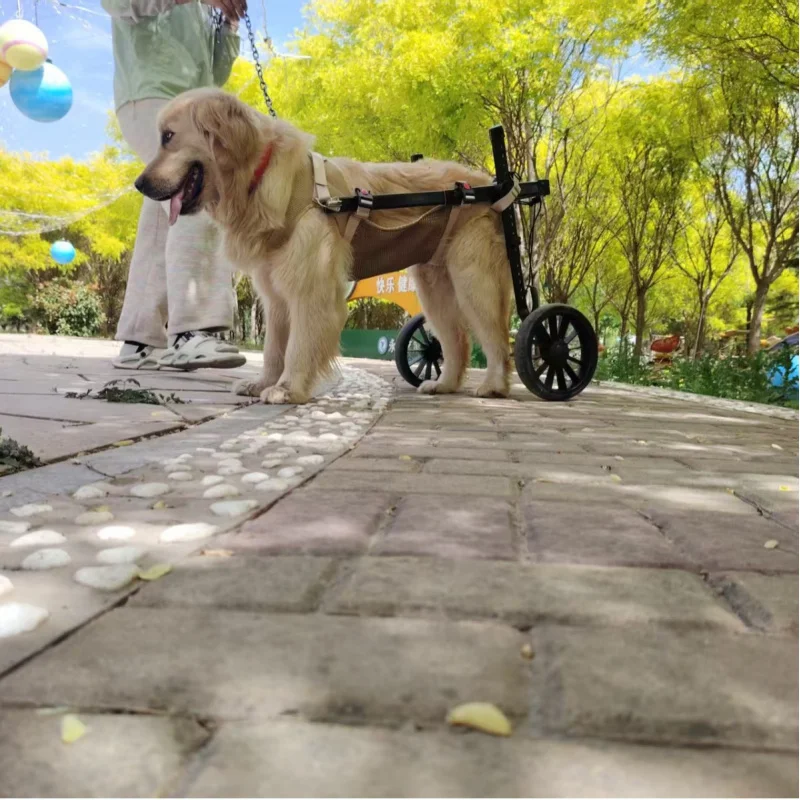 عربة مساعدة للمشي لإعادة تأهيل الكراسي المتحركة، مساعدة الطاقة، سكوتر التنقل للكلاب الأليفة #3