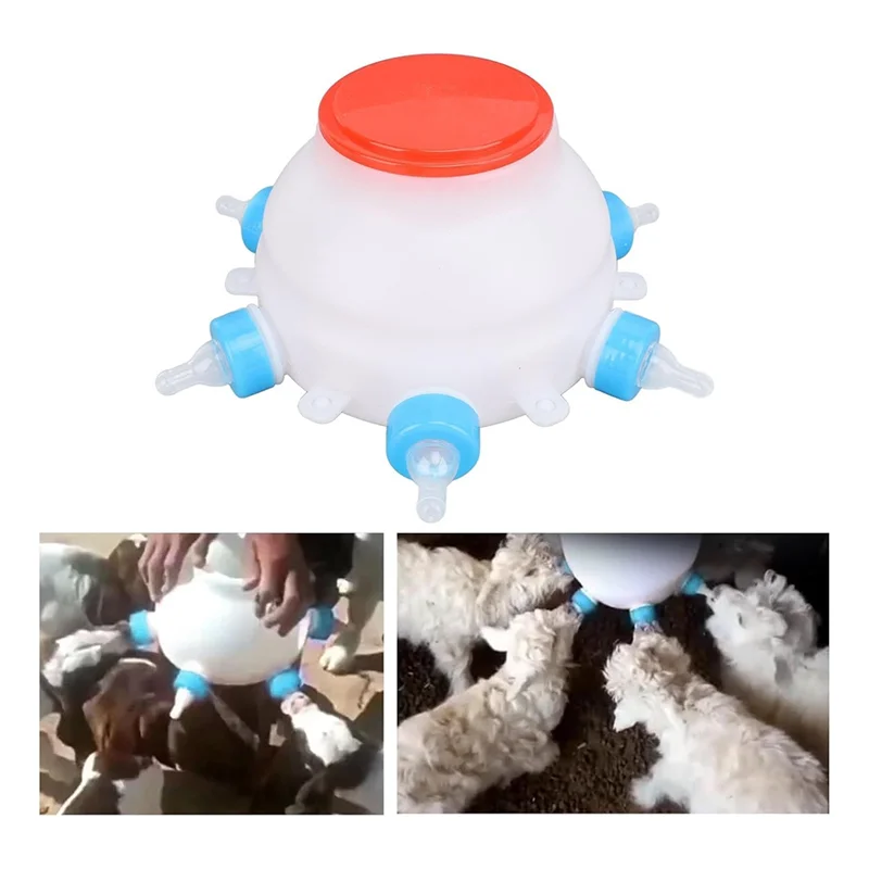 Abko-Lamb Feeding B…