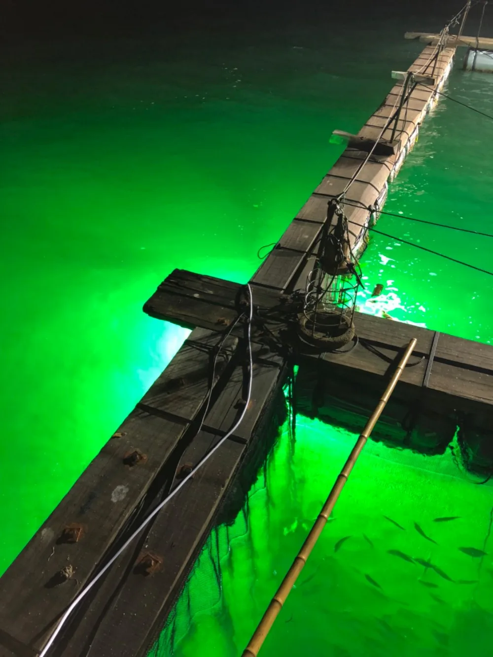 

Водонепроницаемая подводная светодиодная лампа для рыбалки из алюминиевого сплава 110В/220В 4000Вт IP68 для Америки и Канады