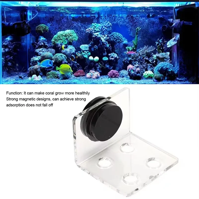 AB15-Acryl Korallen Rack Aquarium Fisch Korallen Rack Halterung Acryl Starke Saugkraft Korallen Frag Rack Halterung Korallen Rack