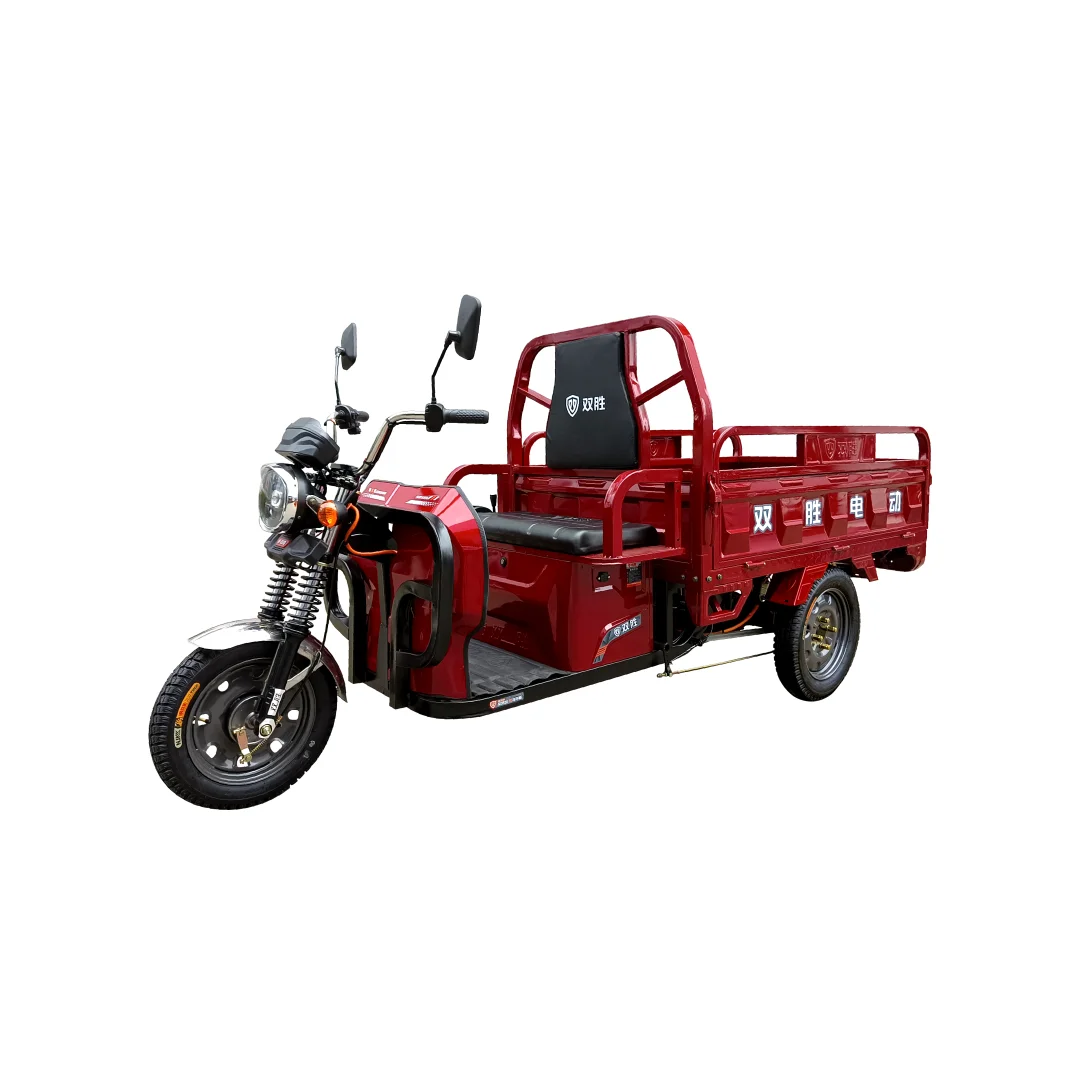 

Newly Designed Multicolor 3-Wheeled Electric Cargo Tricycle 1000W Power With 60V Voltage For Passenger Carrying Affordable