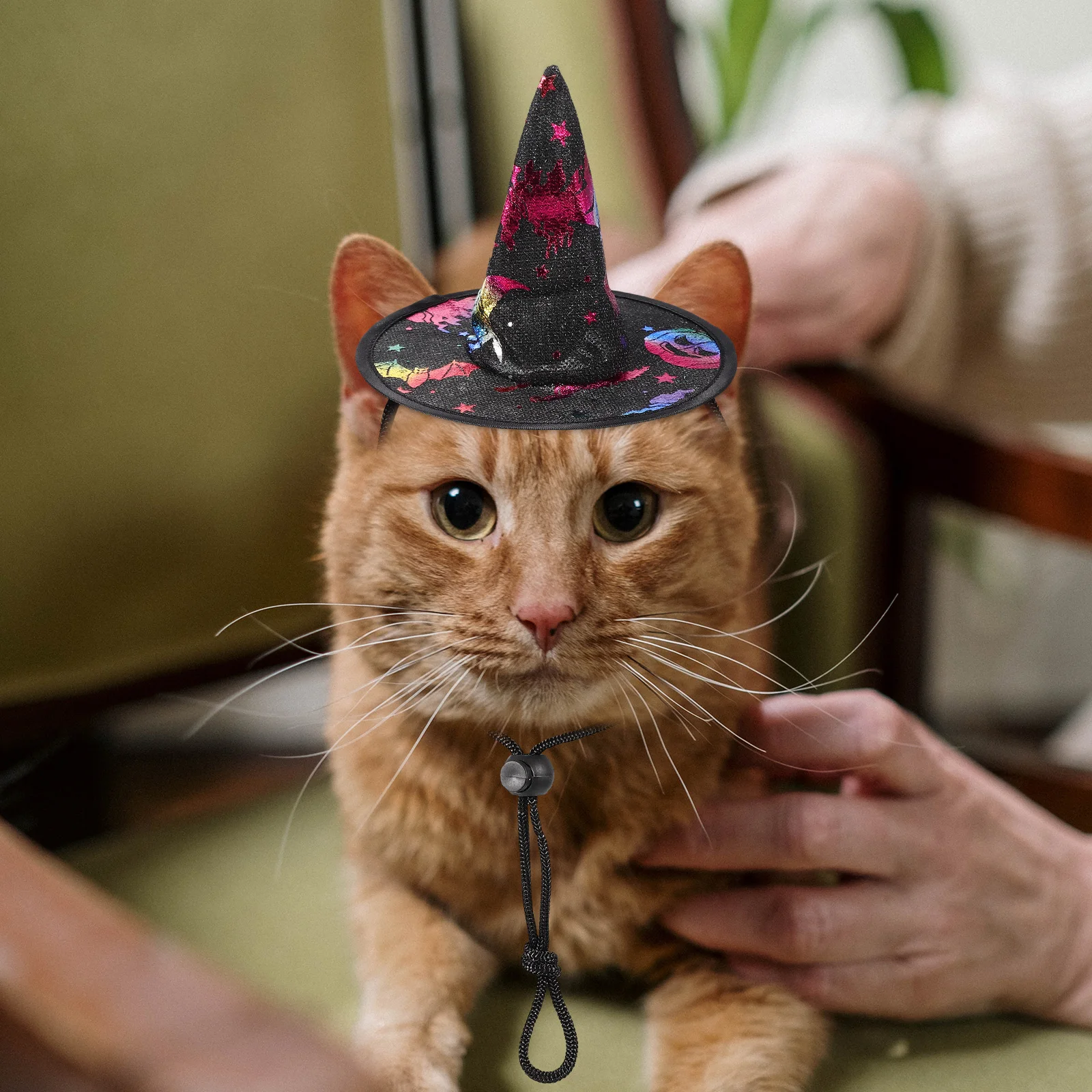 

2 Pcs Witch Hat Pet Party Halloween Headgear Clothing Decor Non-woven Fabric Hats