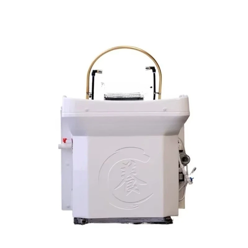 Water-Free Removable Head Basin Ear Cleaning Head Therapy with Water Circulation Fumigation Shampoo Chair